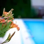וילה Greentree - With Private Pool Close To Budapest בודקלאס