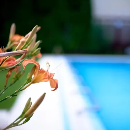 Вилла Greentree - With Private Pool Close To Budapest Будакалас