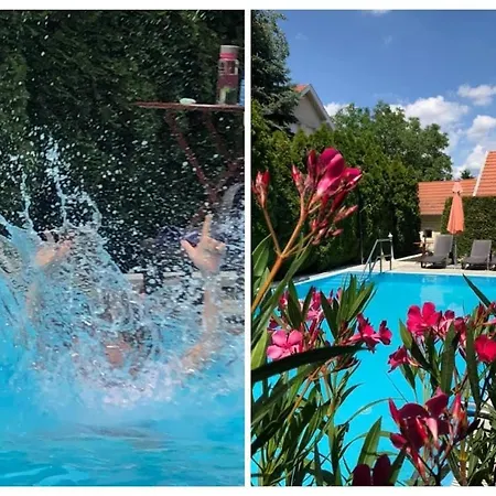 Greentree - With Private Pool Close To Budapest ヴィラ